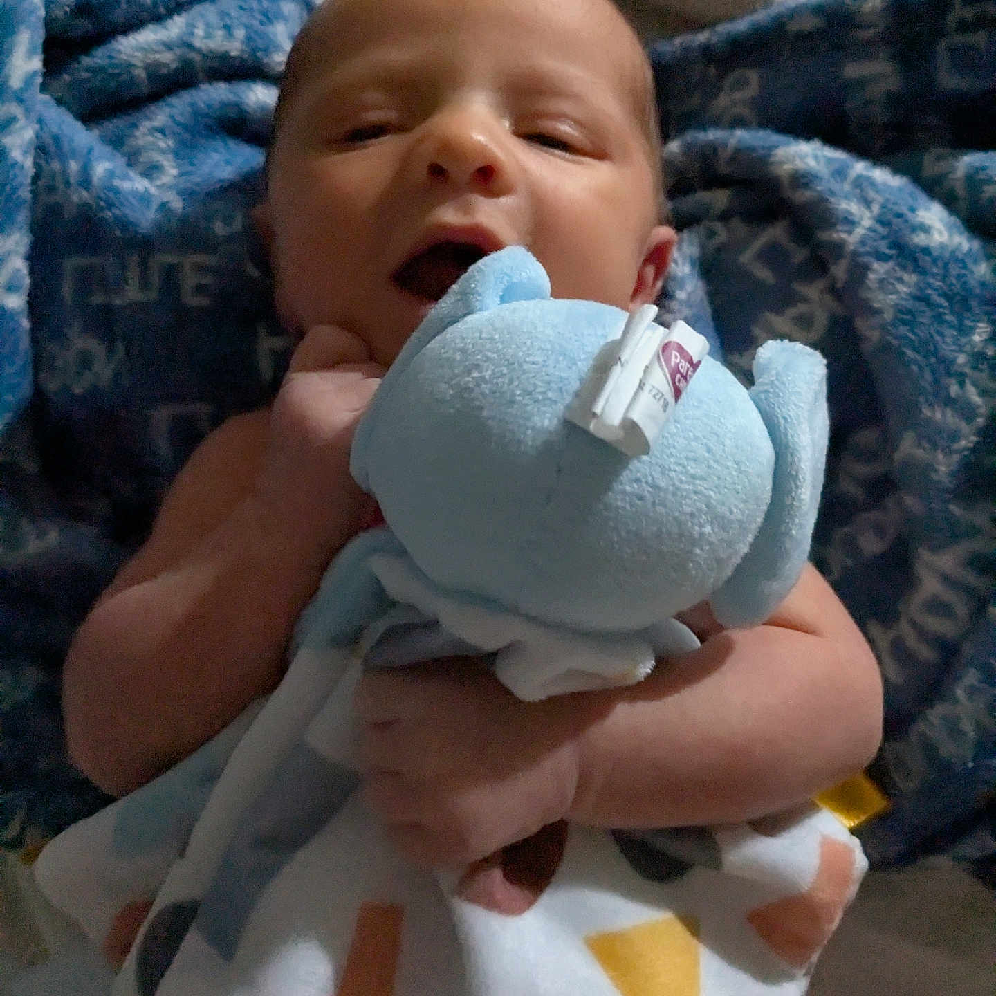 Ryder joined the competition — help win amazing prizes! baby, bed, blanket, bodypart, clothing, cushion, face, finger, furniture, glove, hand, hat, head, homedecor, newborn, person, photography, portrait, quilt, towel