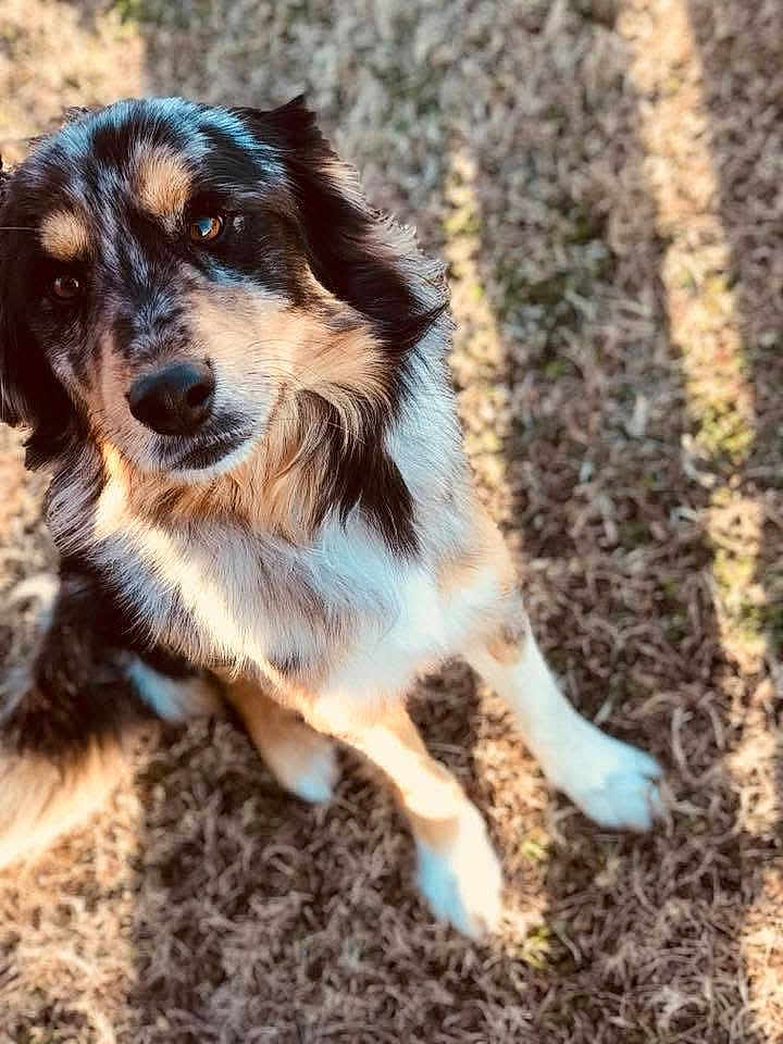 Jaxson