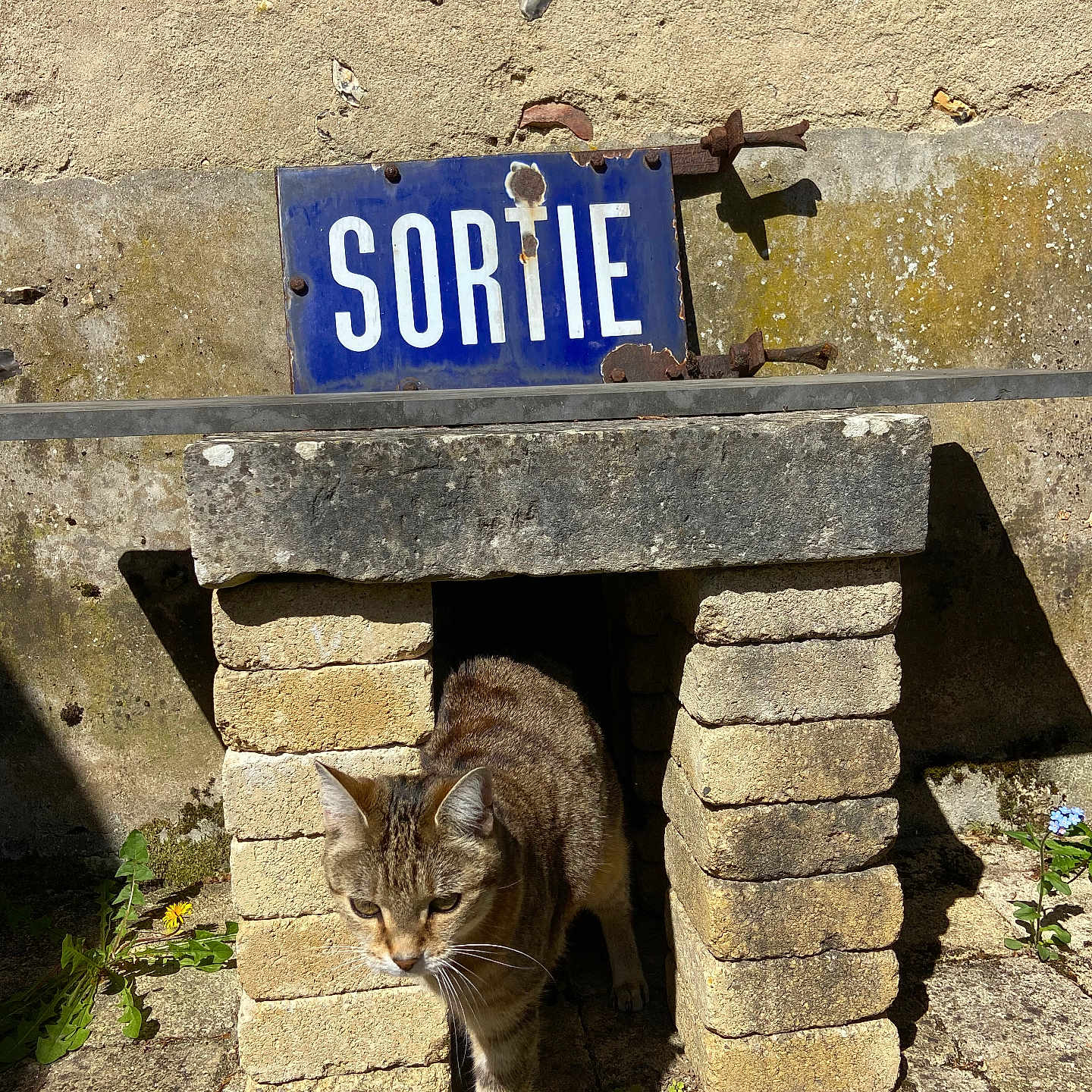 Sibelle