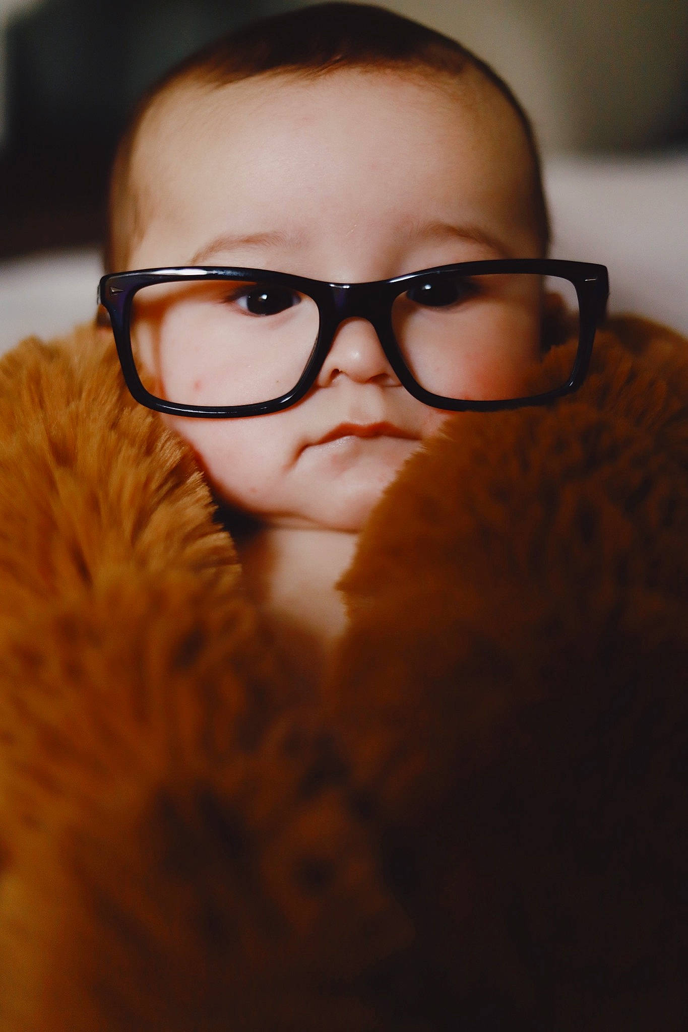 Jolie joined the competition — help win amazing prizes! beard, beauty, chin, close_up, cool, eye, eyebrow, eyewear, face, facial_hair, forehead, glasses, hair, hairstyle, head, lip, moustache, nose, person, photography