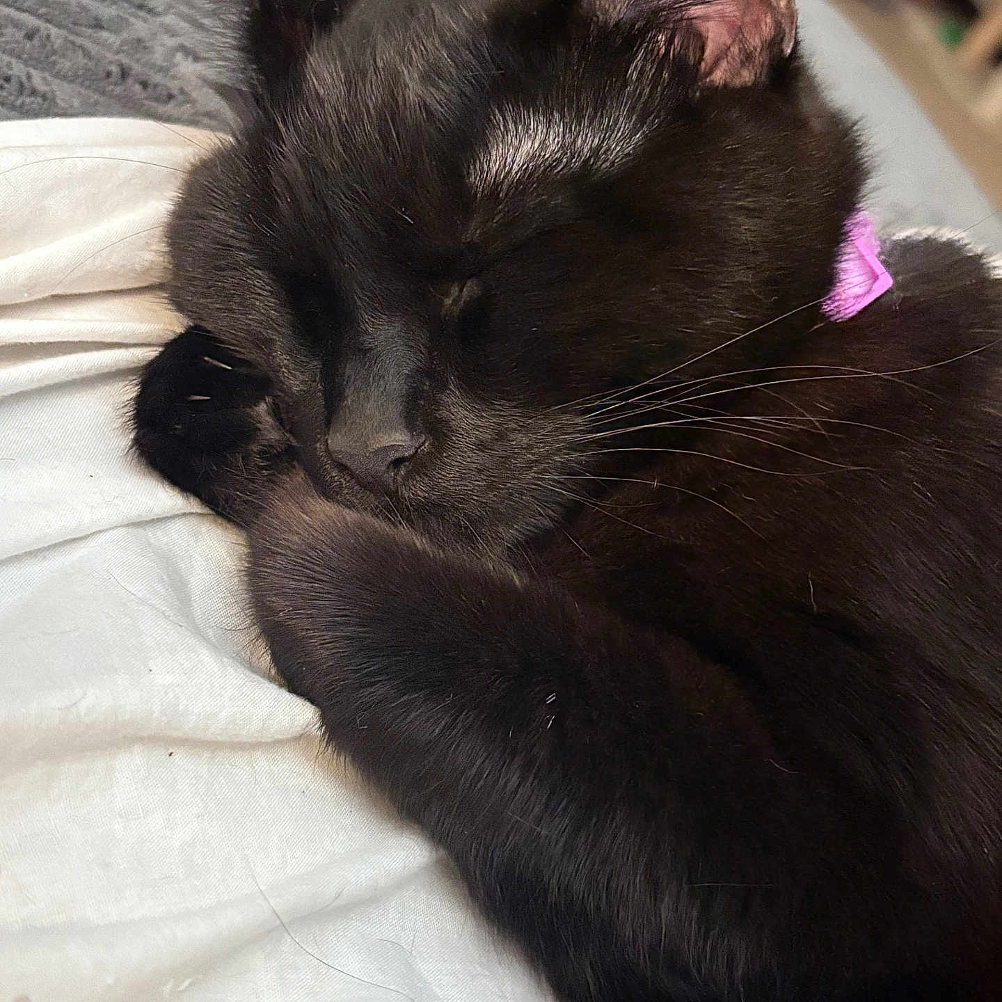 Velcro
