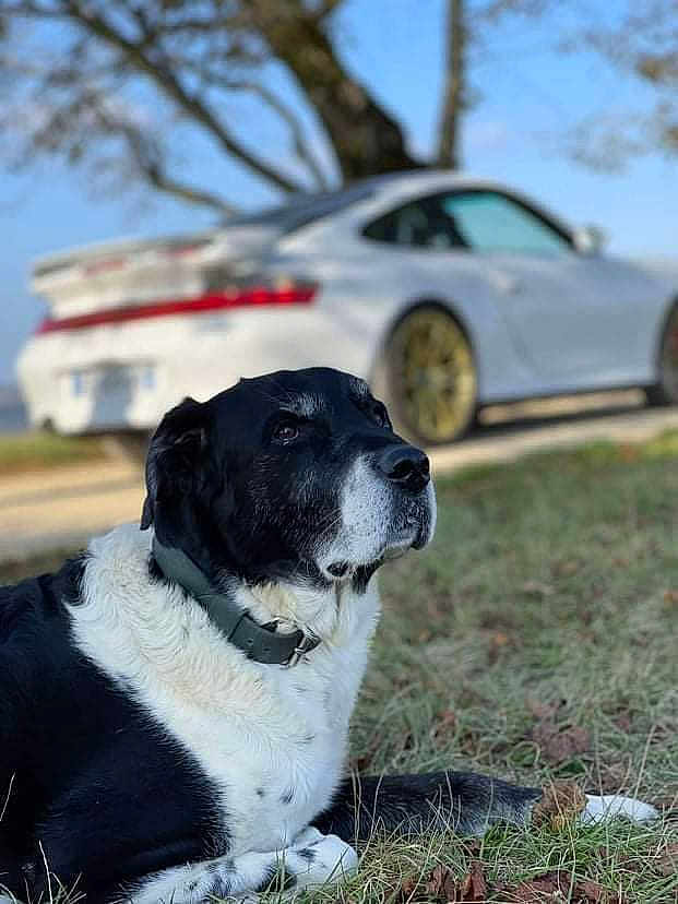 Toby