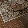 dog, tan_dog, pet, indoor, rug, decorative_rug, wooden_floor, flooring, animal, laying_down, looking_at_camera, curious, small_dog, domestic_animal, home, cozy, quiet, resting, brown, ears_up