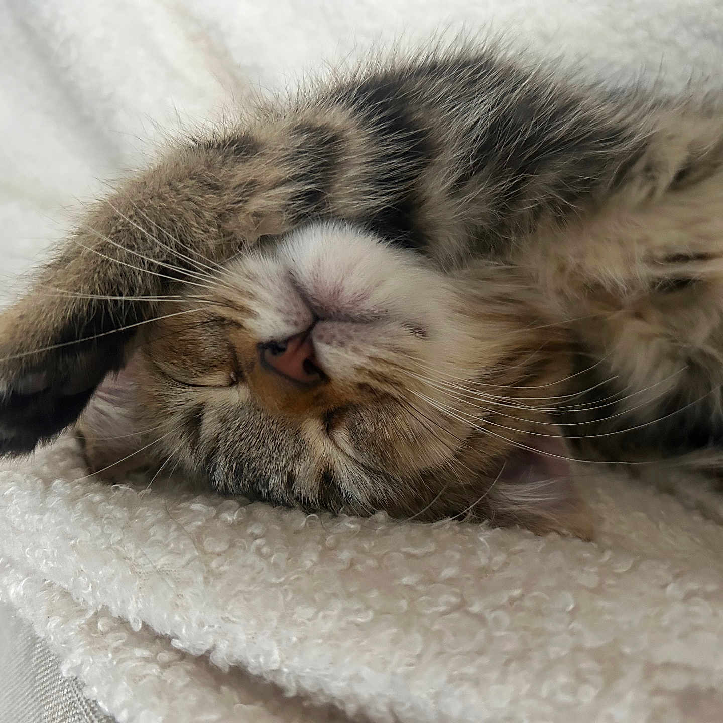 Yuki