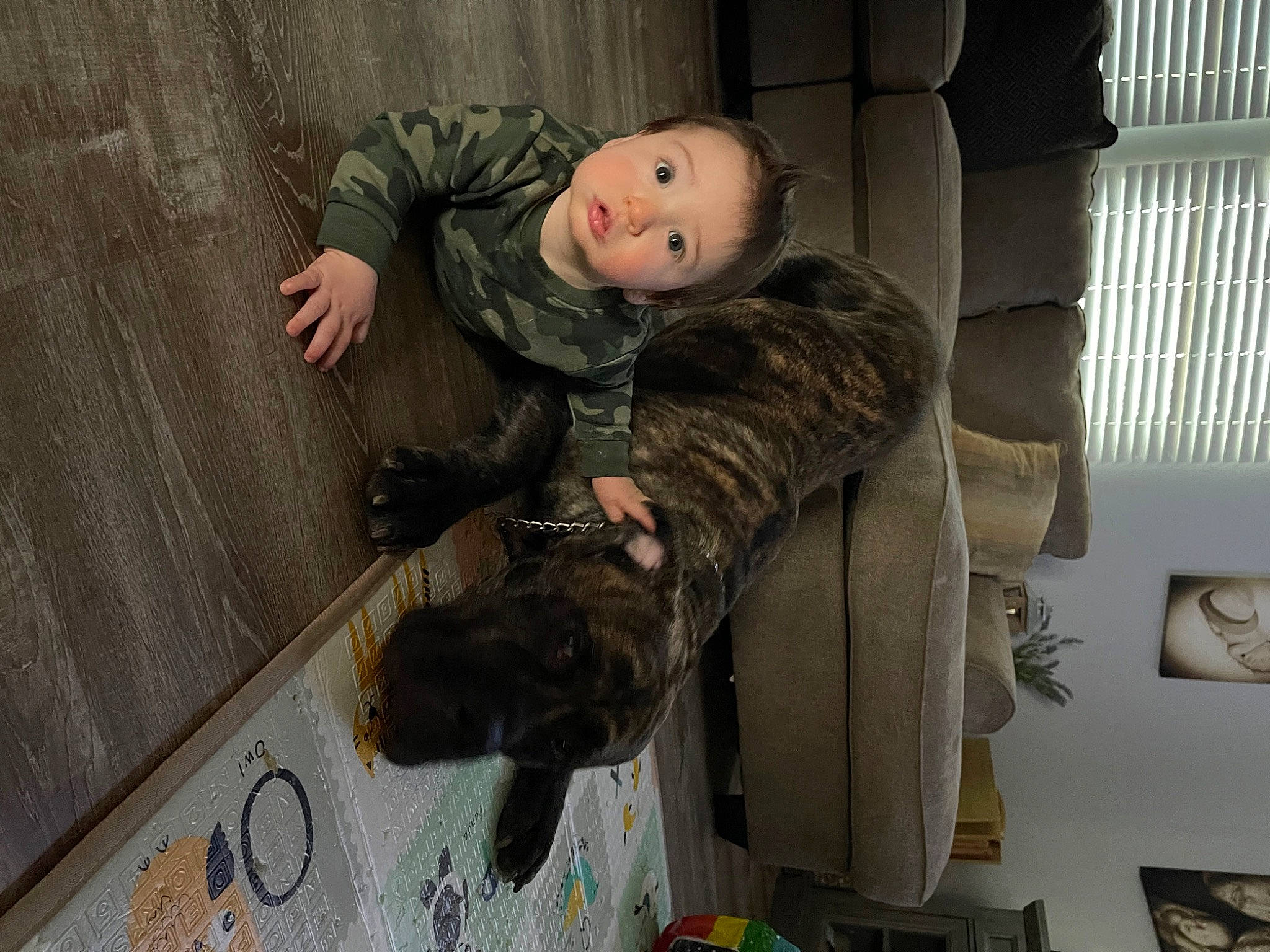 Kage is registered to the contest to win money with this photo: chair, child, comfort, doll, eye, fun, fur, fur_clothing, human_body, jacket, person, room, sitting, smile, snout, stuffed_toy, surprise, toy, winter, wood