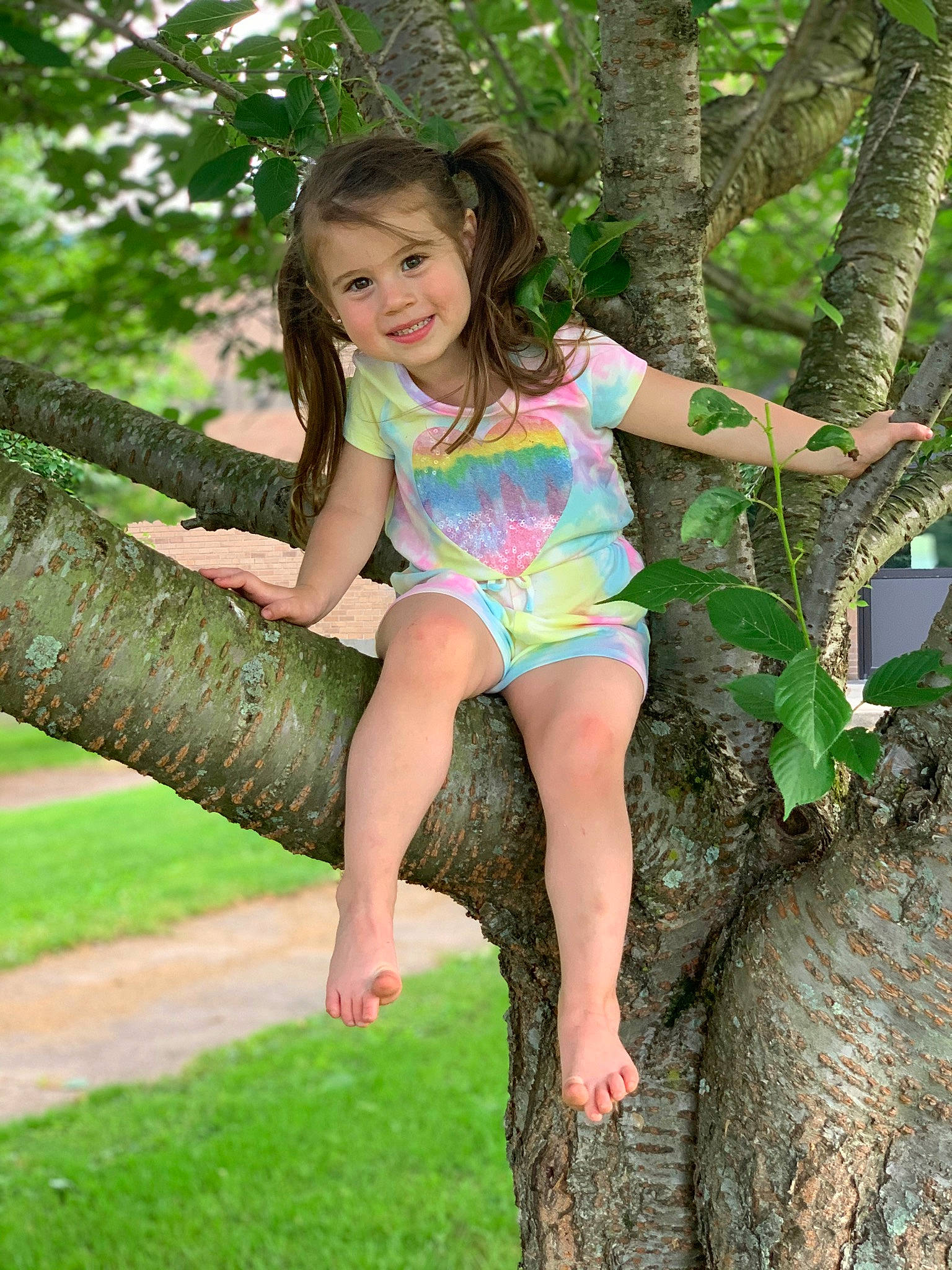 Aleigha is registered to the contest to win money with this photo: botany, branch, fun, grass, green, hairstyle, happy, joy, leisure, long_hair, people_in_nature, person, plant, smile, standing, summer, thigh, tree, trunk, waist