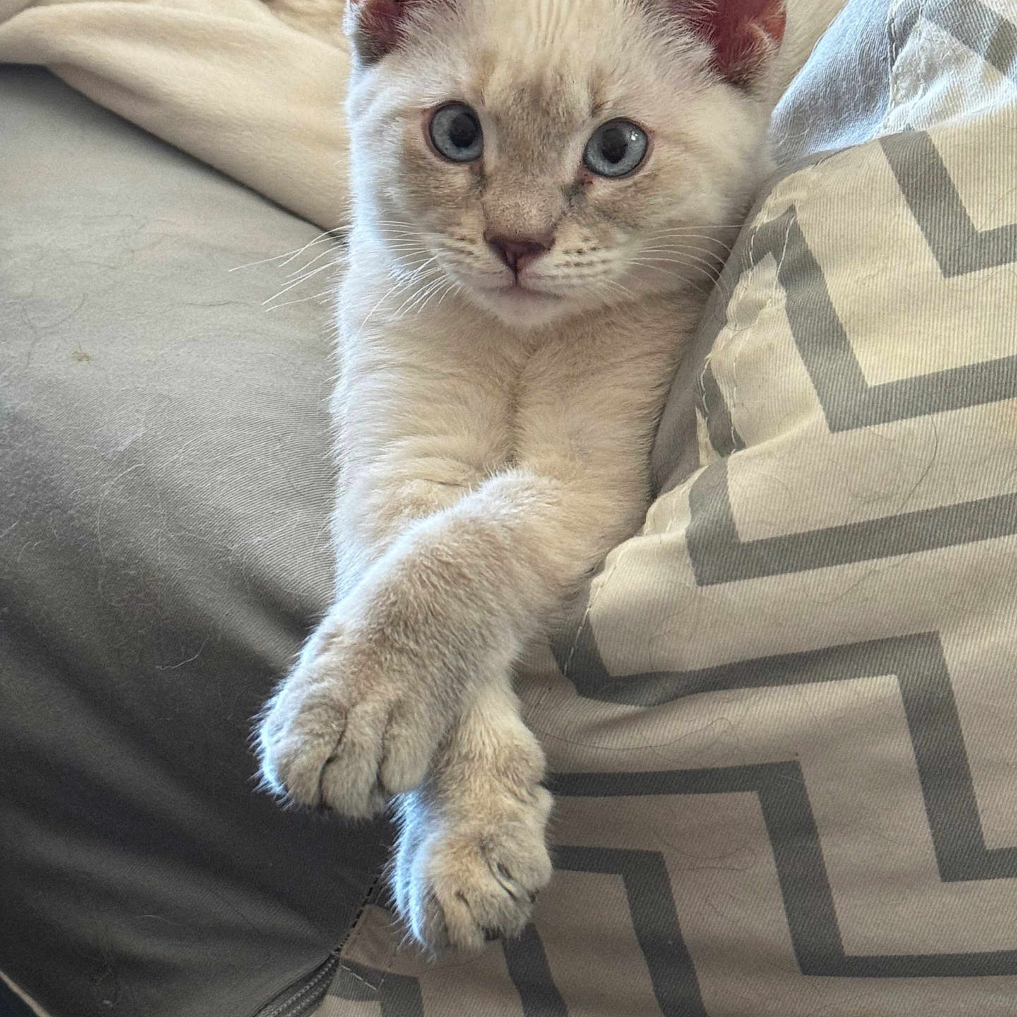 Rita