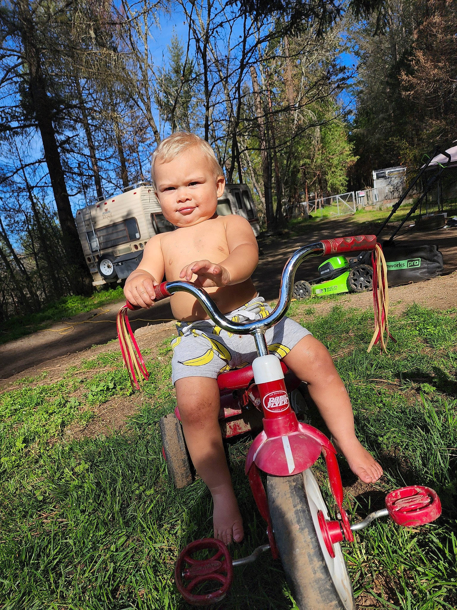 Cían joined the competition — help win amazing prizes! baby, bicycle_fork, bicycle_frame, bicycle_handlebar, bicycle_saddle, bicycle_tire, bicycle_wheel, fun, grass, leisure, people_in_nature, person, plant, recreation, shorts, sky, thigh, tire, toddler, tree
