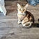 Minette