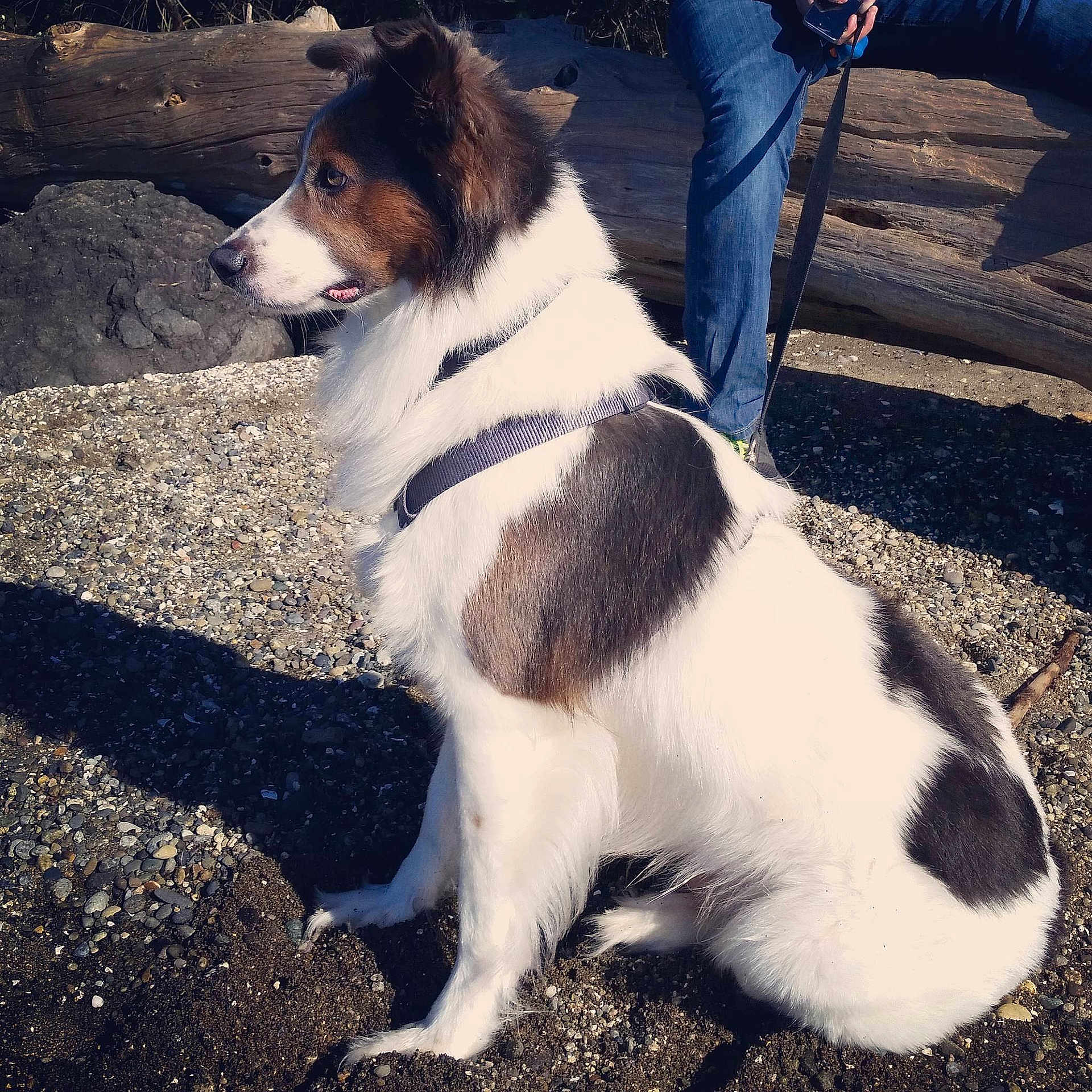 Max