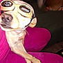 animal, brown_dog, casual, companion, couch, dog, floor, funny, goggles, hand, home, indoor, lap, light_beige_dog, pattern, person, pet, pink_pants, relaxed, tail