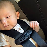 Zara joined the competition — help win amazing prizes! baby, child, car_seat, seatbelt, safety_harness, infant, sleeping, closeup, face, hand, clothing, cute, peaceful, resting, transportation, car_interior, seat, young_child, infancy, soft_light