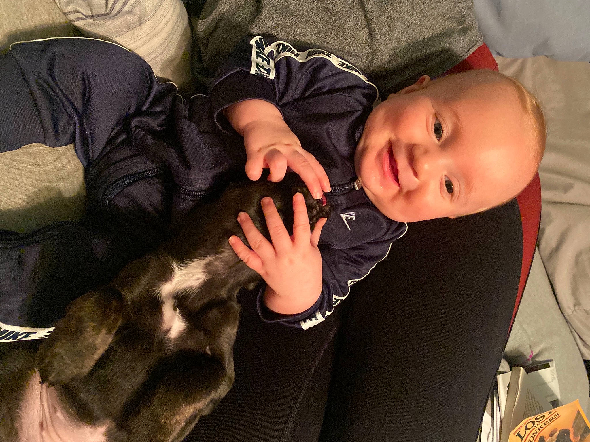 Kaiden is registered to the contest to win money with this photo: arm, baby, baby_products, baby_toddler_clothing, carnivore, child, comfort, companion_dog, couch, event, felidae, fun, fur, gesture, happy, joy, nail, person, sitting, thumb
