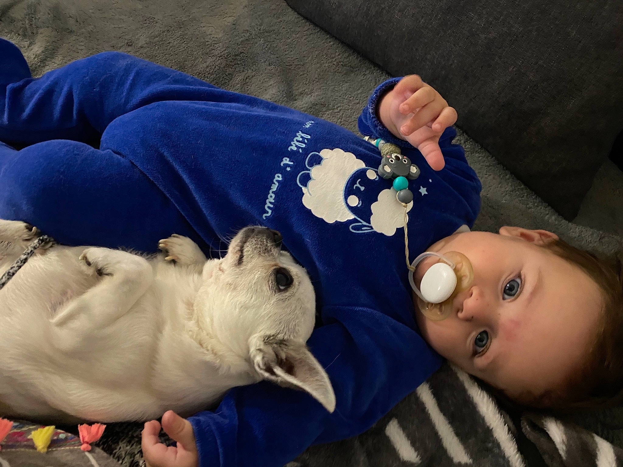 Enes participe au concours pour gagner de l'argent avec cette photo : baby, baby_toddler_clothing, carnivore, child, comfort, companion_dog, dog, dog_breed, fawn, fur, head, human_body, mammal, person, sleeve, stuffed_toy, t_shirt, toddler, toy, vertebrate