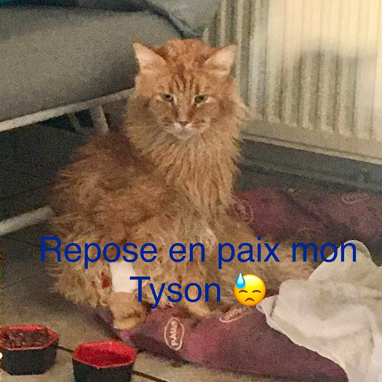 Tyson