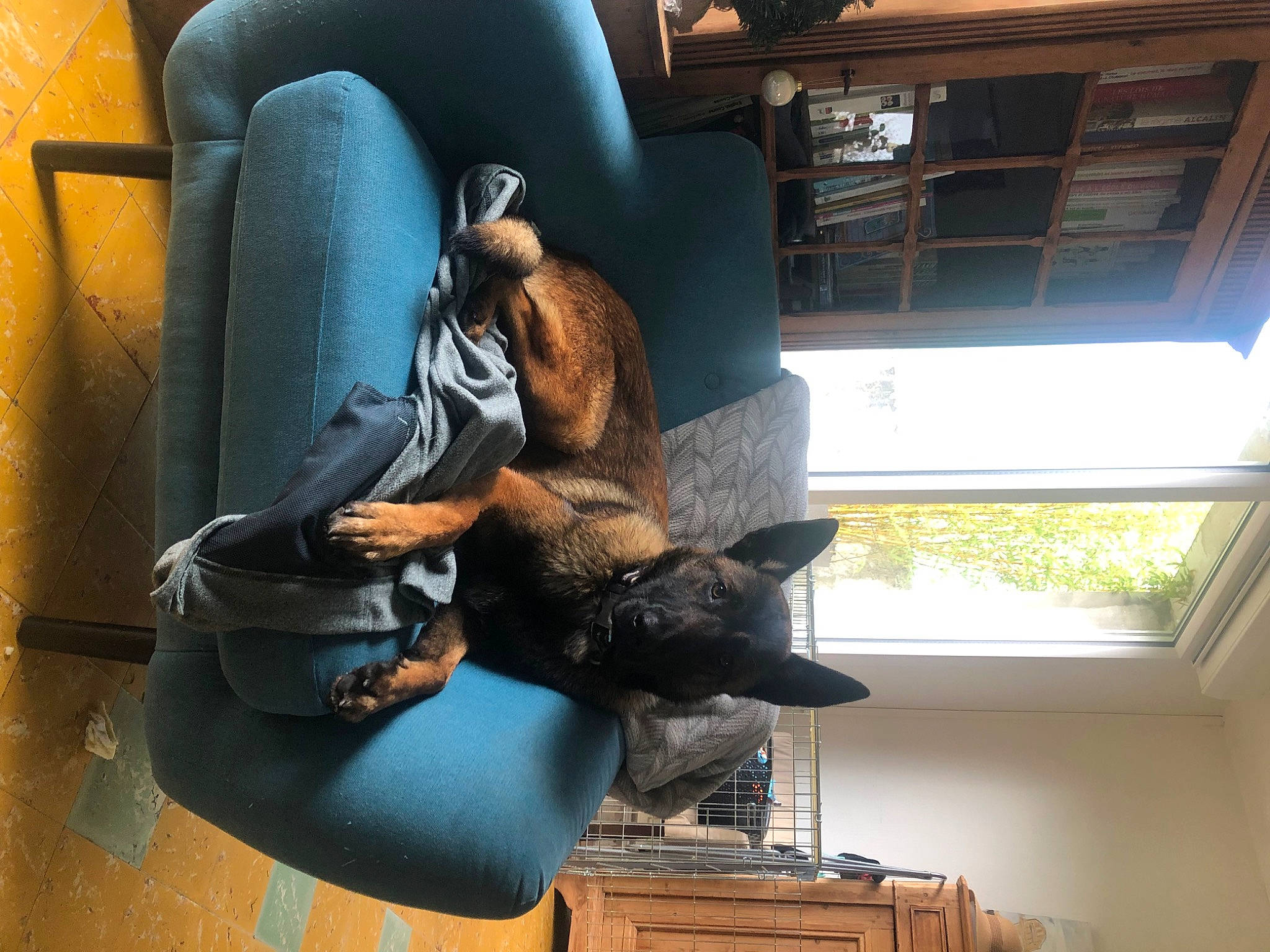 Umy a rejoint le concours — aidez-le/la à gagner de superbes lots ! art, building, comfort, fur, hardwood, hat, house, metal, room, sculpture, shoe, window, wood