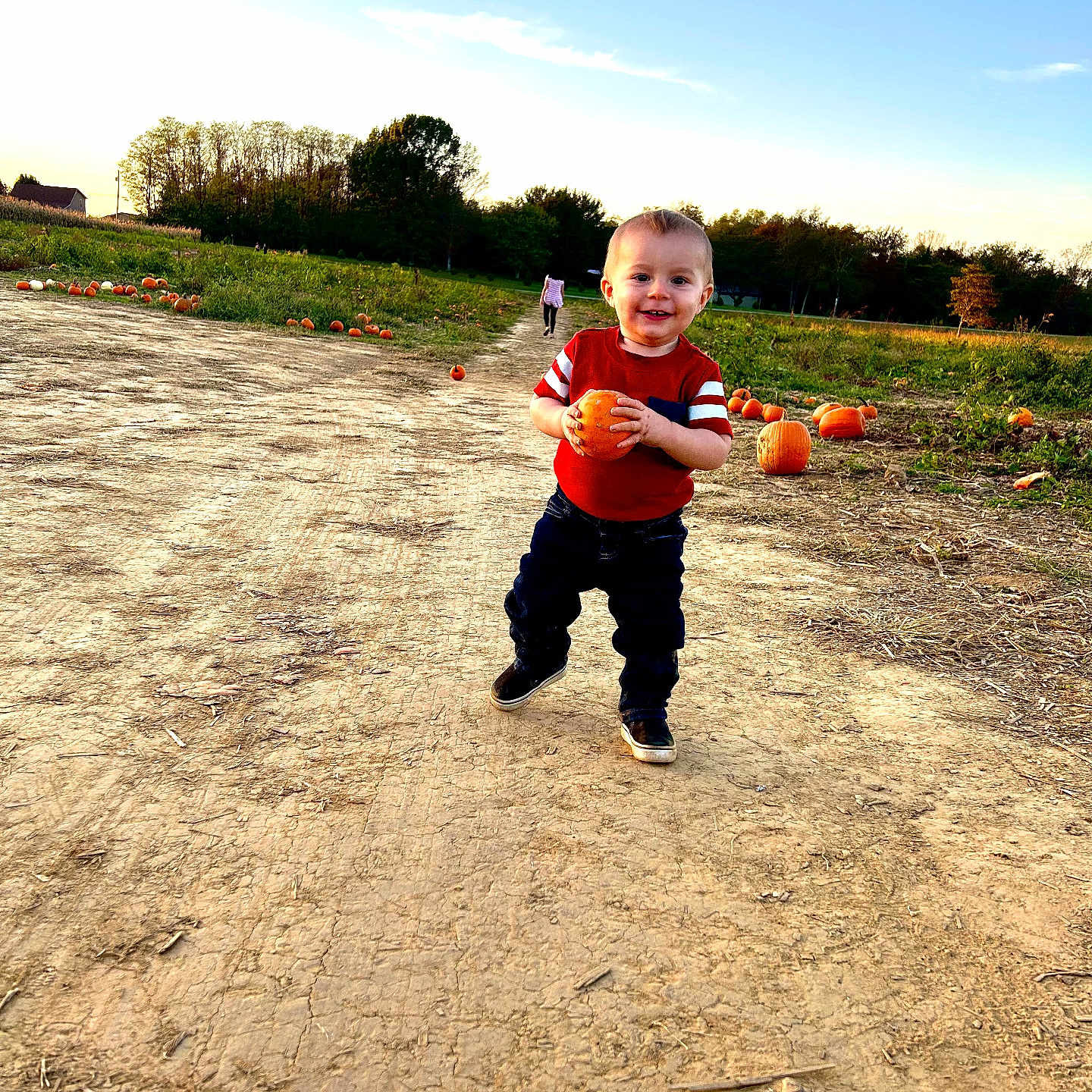Maverick joined the competition — help win amazing prizes! boy, child, clothing, face, grass, head, jeans, male, nature, outdoors, pants, park, person, photography, plant, portrait, soil, tree, vegetation, walking