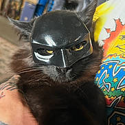 Simba is registered to the contest to win money with this photo: cat, black_cat, mask, batman_mask, pet, animal, indoor, person, tattoo, colorful_shirt, fur, face, closeup, holding, costume, funny, portrait, expression, cute, domestic_animal