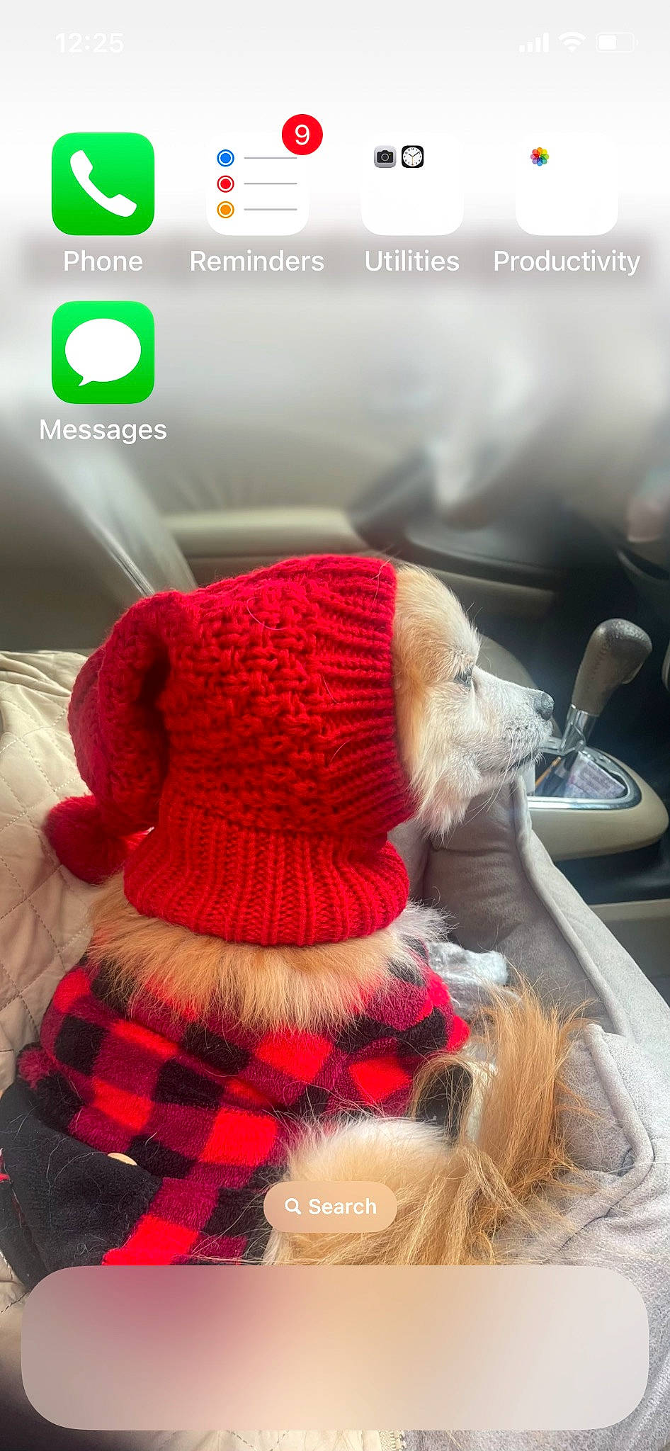 Lucky is registered to the contest to win money with this photo: audio_equipment, cap, companion_dog, crochet, dress, fashion_accessory, fictional_character, font, fur, glove, knit_cap, magenta, pattern, plaid, sleeve, stuffed_toy, teddy_bear, wool, woolen, woven_fabric
