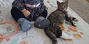 Abby is registered to the contest to win money with this photo: baby, child, cat, tabby_cat, floor, carpet, blanket, headband, bow, leopard_print, clothing, sitting, indoor, wood_floor, milestone_blanket, animal, pet, cute, portrait, curious