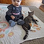 baby, child, cat, tabby_cat, floor, carpet, blanket, headband, bow, leopard_print, clothing, sitting, indoor, wood_floor, milestone_blanket, animal, pet, cute, portrait, curious