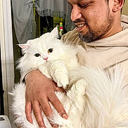 Simba joined the competition — help win amazing prizes! man, cat, white_cat, fluffy_cat, indoor, smiling, holding, pet, animal, beard, short_hair, casual_clothing, curtains, doorway, human_hand, affection, cozy, domestic, portrait, closeup