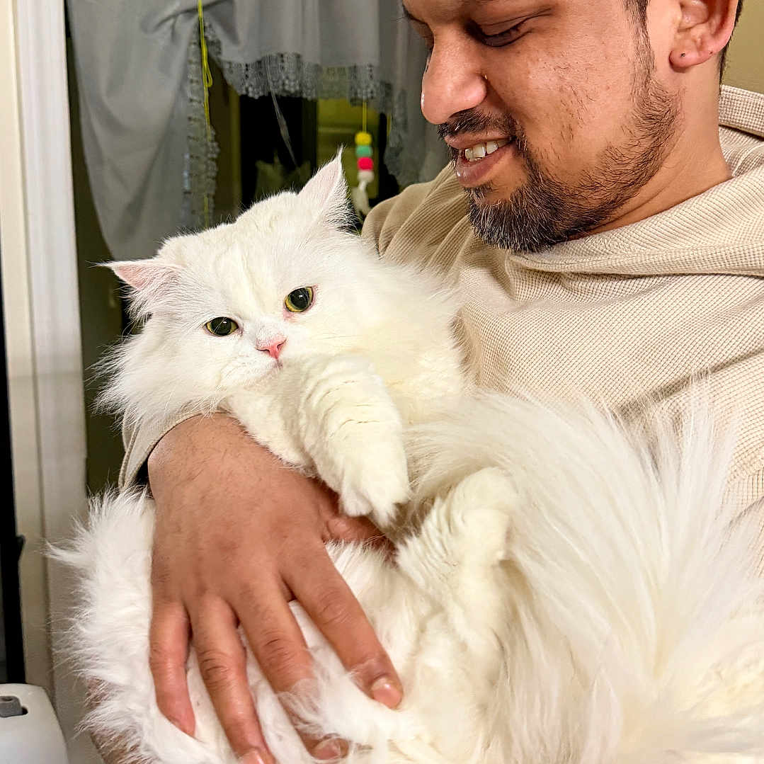 Simba