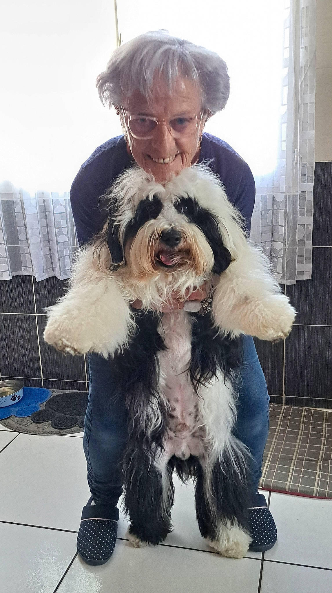 Ralph a rejoint le concours — aidez-le/la à gagner de superbes lots ! canidae, carnivore, companion_dog, dog, dog_breed, dog_supply, eyewear, fur, hat, non_sporting_group, small_terrier, snout, sporting_group, terrier, toy_dog