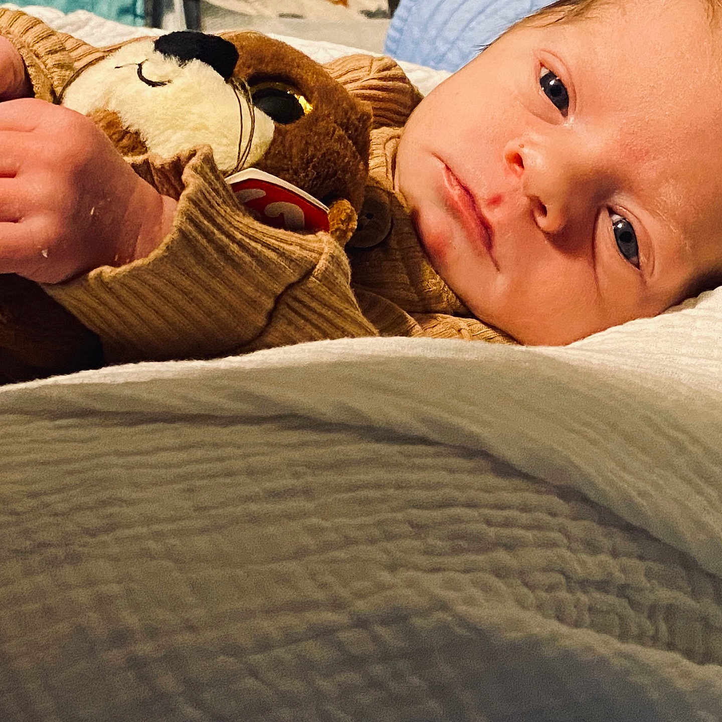 Andrew joined the competition — help win amazing prizes! baby, bed, bedroom, blanket, bodypart, couch, face, finger, furniture, hand, head, indoors, newborn, person, photography, portrait, quilt, room, teddybear, toy