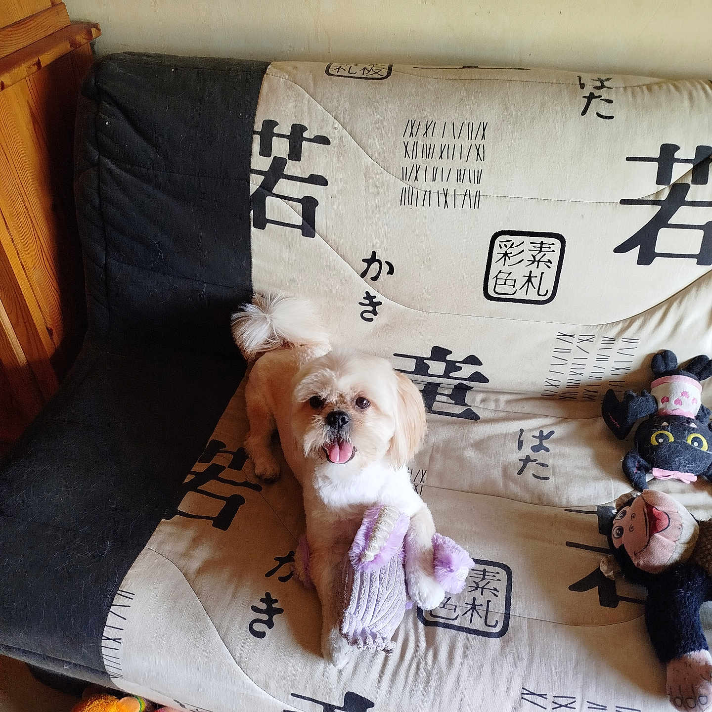Bébé Lucky a rejoint le concours — aidez-le/la à gagner de superbes lots ! dog, small_dog, pet, animal, portrait, sitting, tongue_out, fluffy, white_fur, brown_fur, happy, toy, plush_toy, couch, sofa, indoor, home, japanese_pattern, fabric, wooden_furniture
