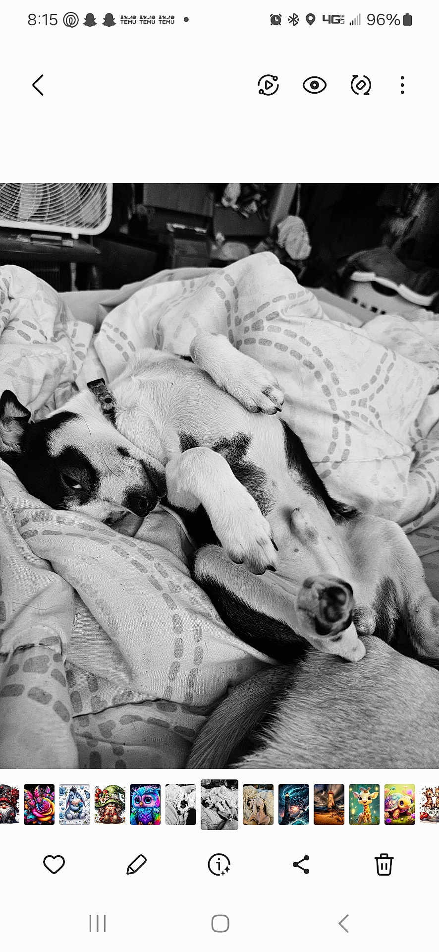 Elvis