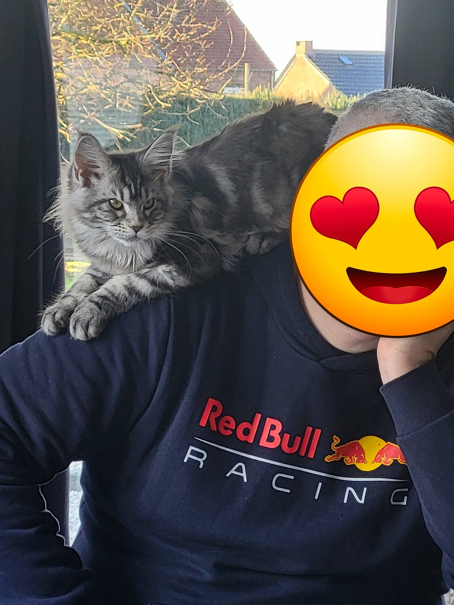 Kenya a rejoint le concours — aidez-le/la à gagner de superbes lots ! art, carmine, carnivore, cat, cool, domestic_short_haired_cat, emoticon, felidae, font, fur, gesture, happy, logo, sleeve, small_to_medium_sized_cats, smile, smiley, t_shirt, tail, whiskers