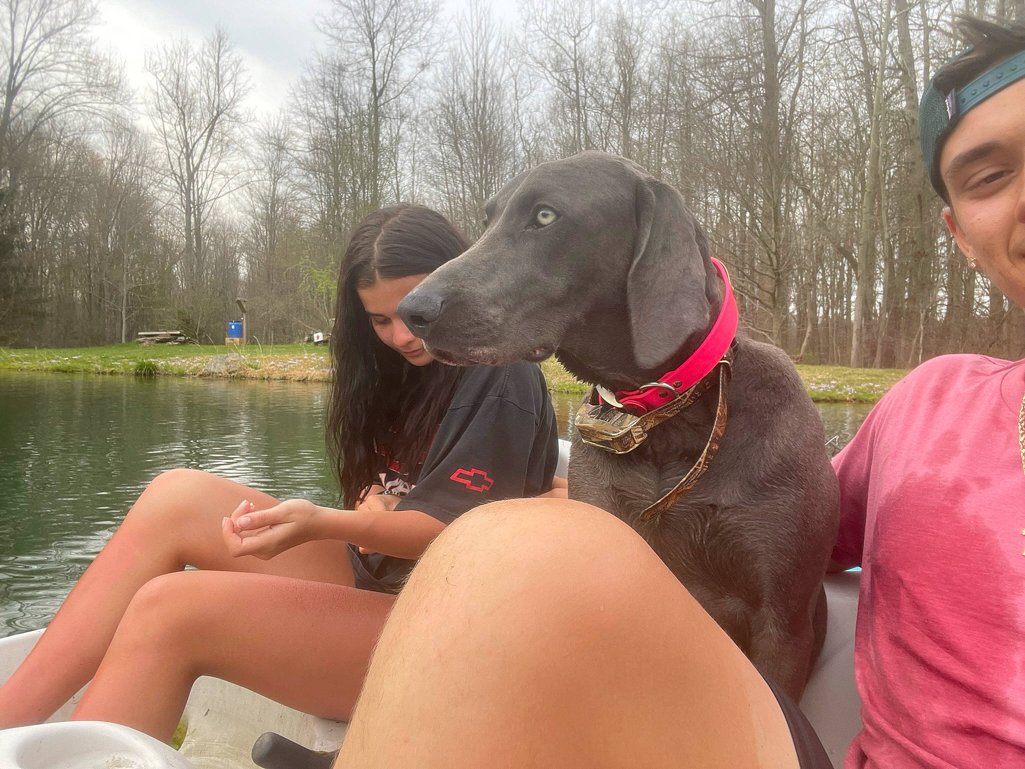 Laila is registered to the contest to win money with this photo: carnivore, companion_dog, dog, dog_breed, fun, gun_dog, human_leg, lake, leisure, mammal, personal_protective_equipment, recreation, sky, smile, snout, thigh, tree, vertebrate, water, working_animal