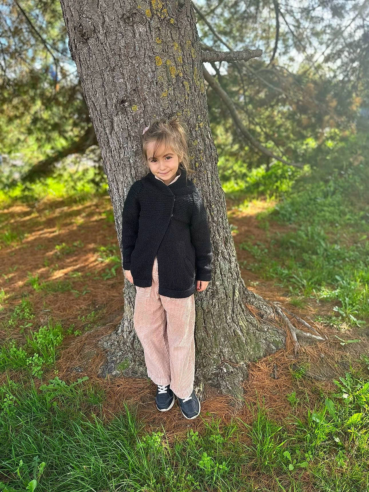 Melyha participe au concours pour gagner de l'argent avec cette photo : deciduous, forest, grass, grassland, happy, joy, landscape, leisure, natural_landscape, pattern, people_in_nature, person, plant, recreation, rock, soil, tree, trunk, twig, wood