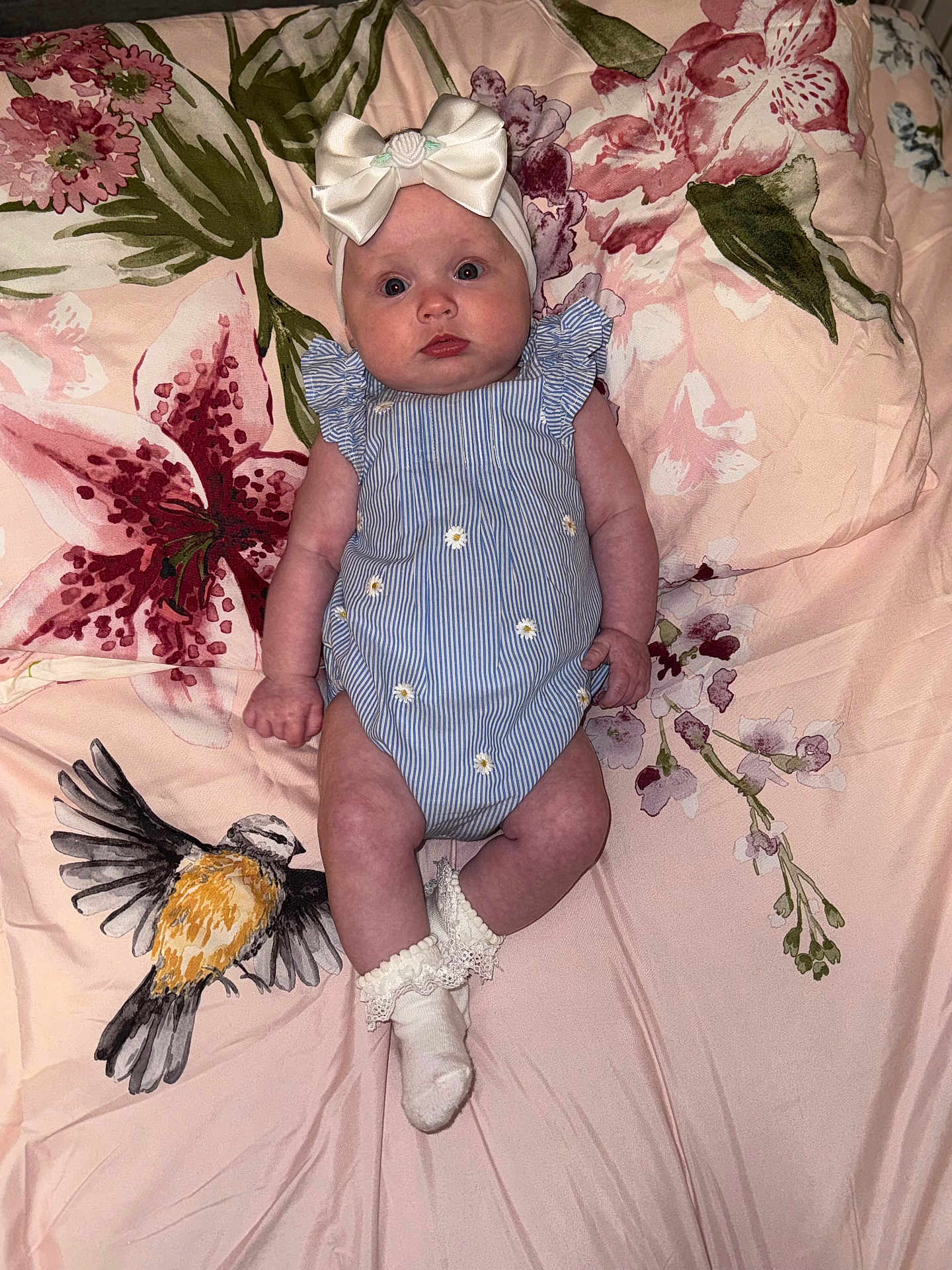 Delilah is registered to the contest to win money with this photo: baby, infant, headband, bow, romper, socks, blanket, floral_pattern, bird_print, lying_down, cute, blue_stripes, daisies, curious_expression, indoors, soft_lighting, child, adorable, portrait, clothing