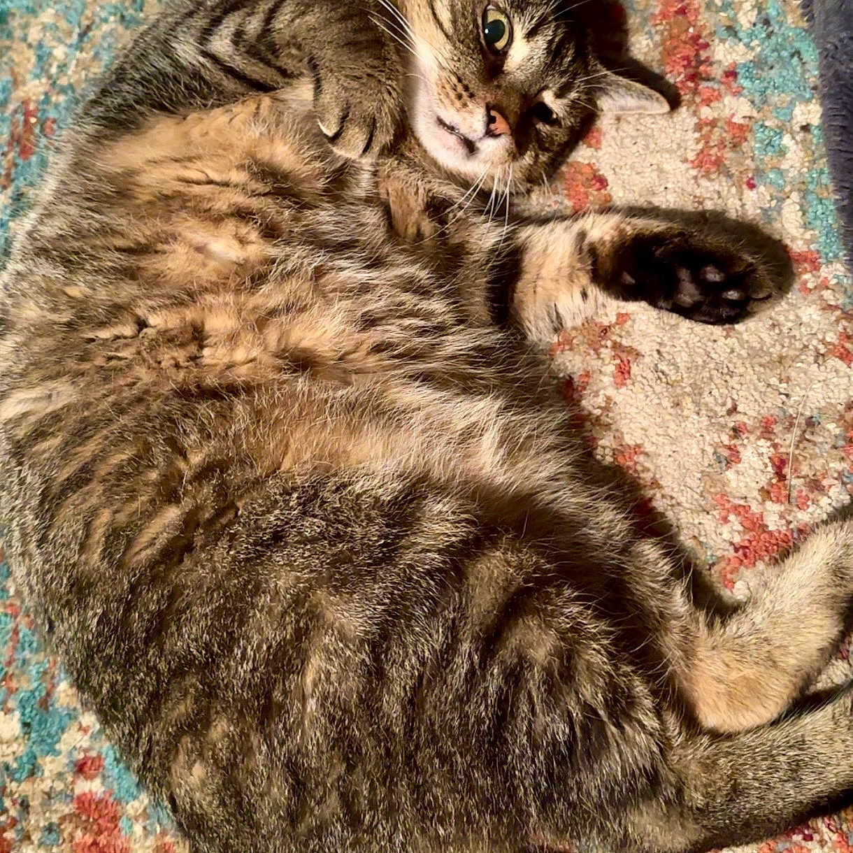 Jax