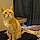 Cheetara