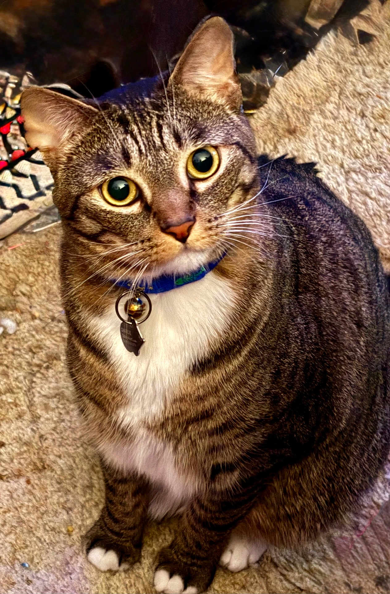 Charlie