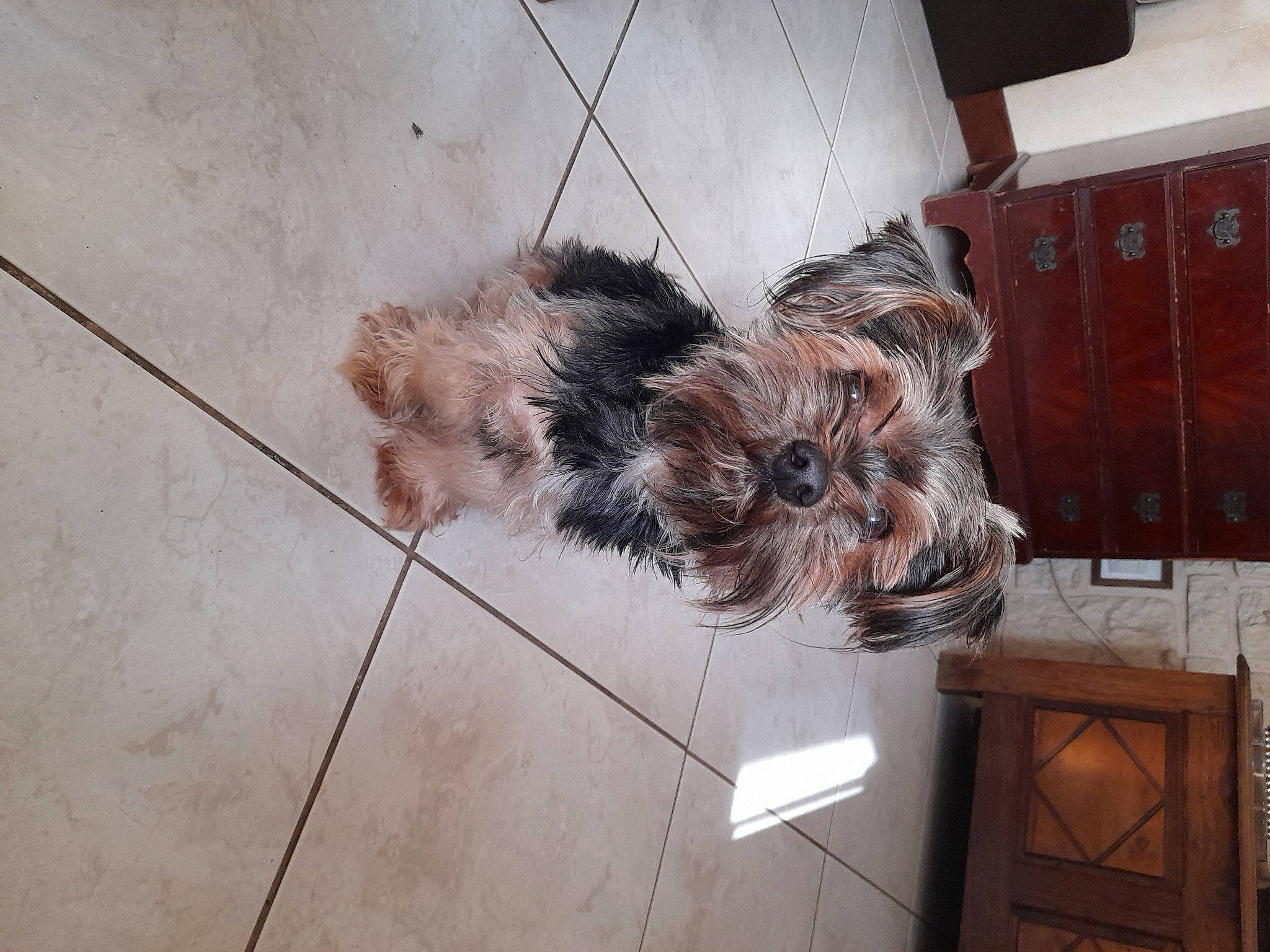 Woody