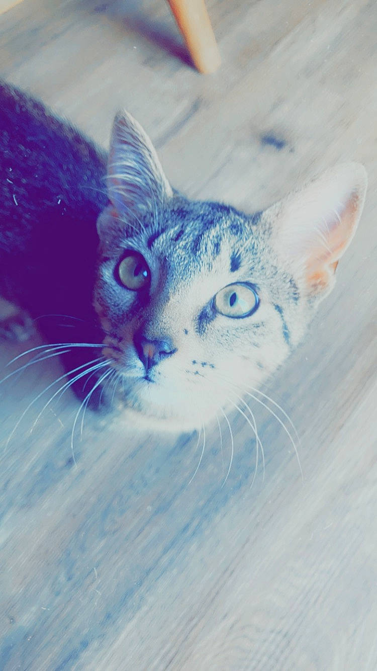 Doobie