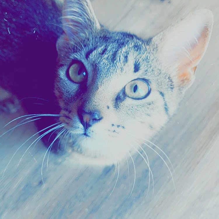 Doobie