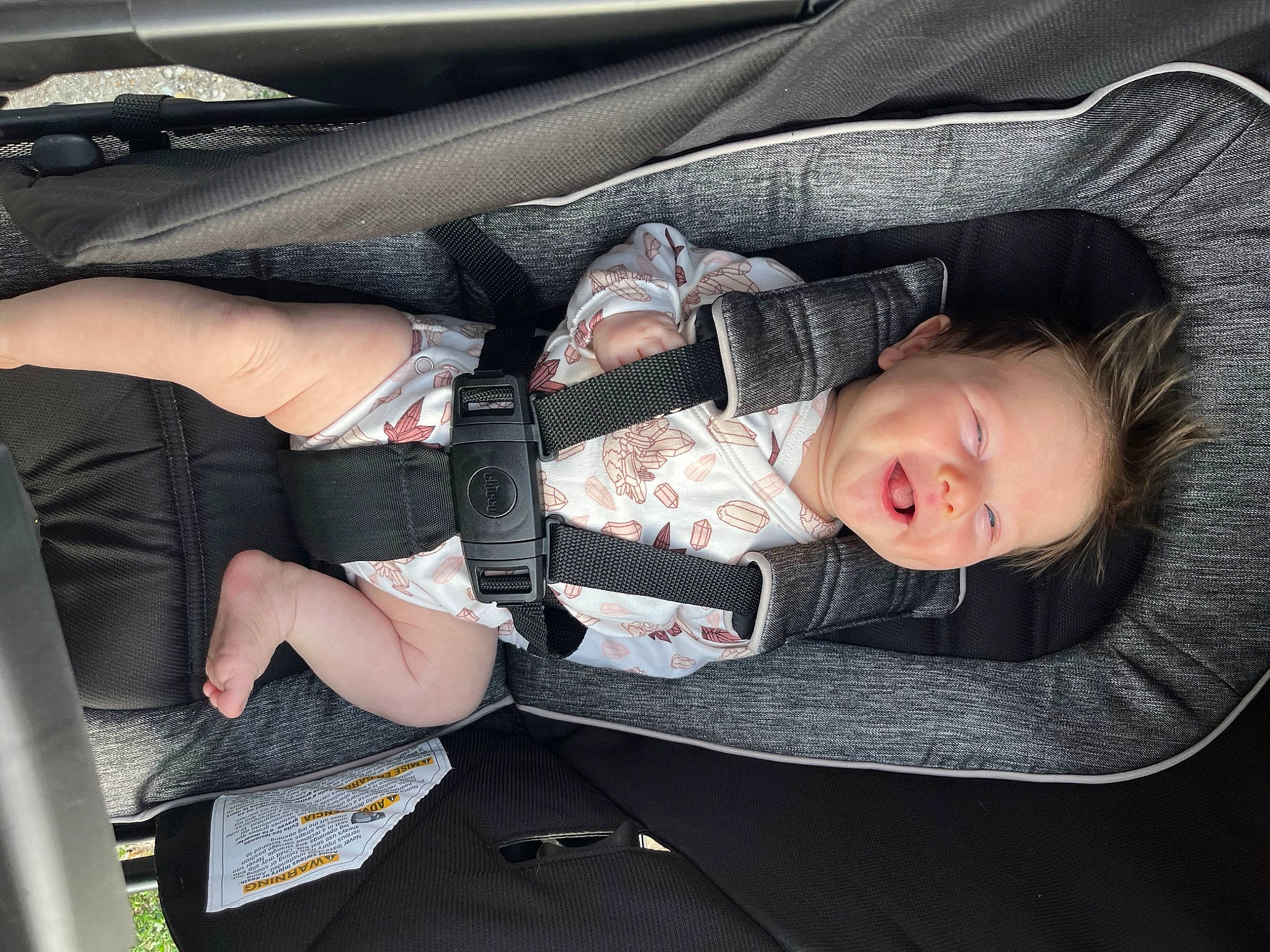 Lexi joined the competition — help win amazing prizes! auto_part, baby, baby_carriage, baby_products, baby_toddler_clothing, car_seat, carmine, child, comfort, family_car, human_leg, lap, motor_vehicle, nap, person, sitting, sleep, thigh, toddler, tree