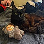 cat, black_cat, plush_toy, stuffed_animal, bedroom, blanket, cozy, indoor, pet, fur, relaxed, toy, cute, animal, soft, lying_down, domestic, feline, companion, resting