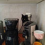 appliance, appliance_parts, black_cat, black_fur, cat, coffee_machine, coffee_maker, cord, cup_holder, cups, curious_cat, indoor, kitchen, kitchen_counter, power_outlet, shadow, small_space, stacked_cups, wall, yellow_eyes
