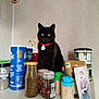 Rebel participe au concours pour gagner de l'argent avec cette photo : animal, black_cat, cat, collar, containers, domestic_animal, feline, food_container, herbs, indoor, kitchen, pet, photograph, portrait, shelf, spices, still_life, toothpicks, wall, yellow_eyes