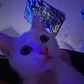 Zoey S.