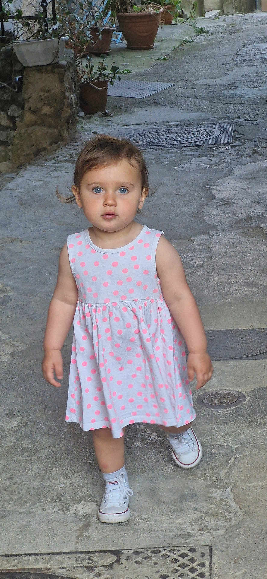 Mylia