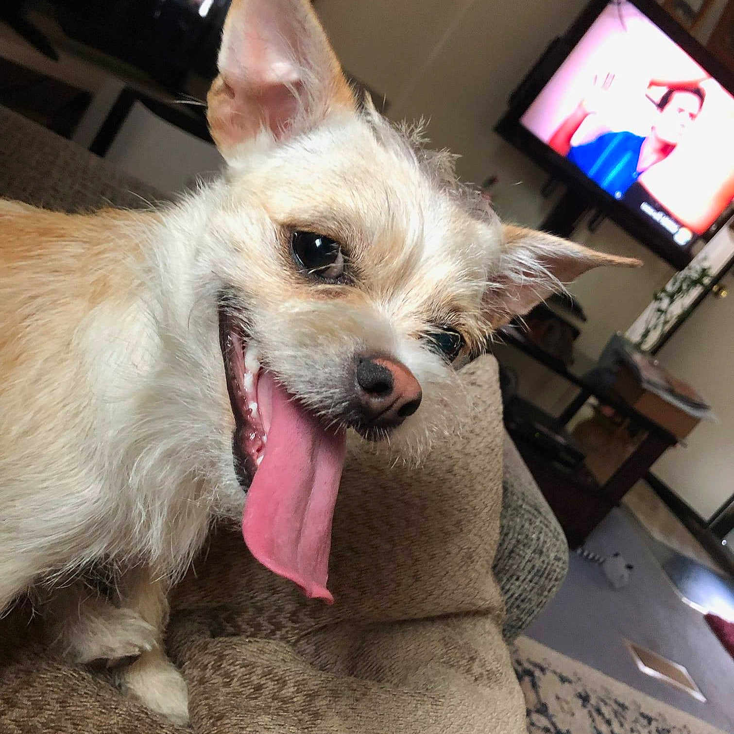 Zoey