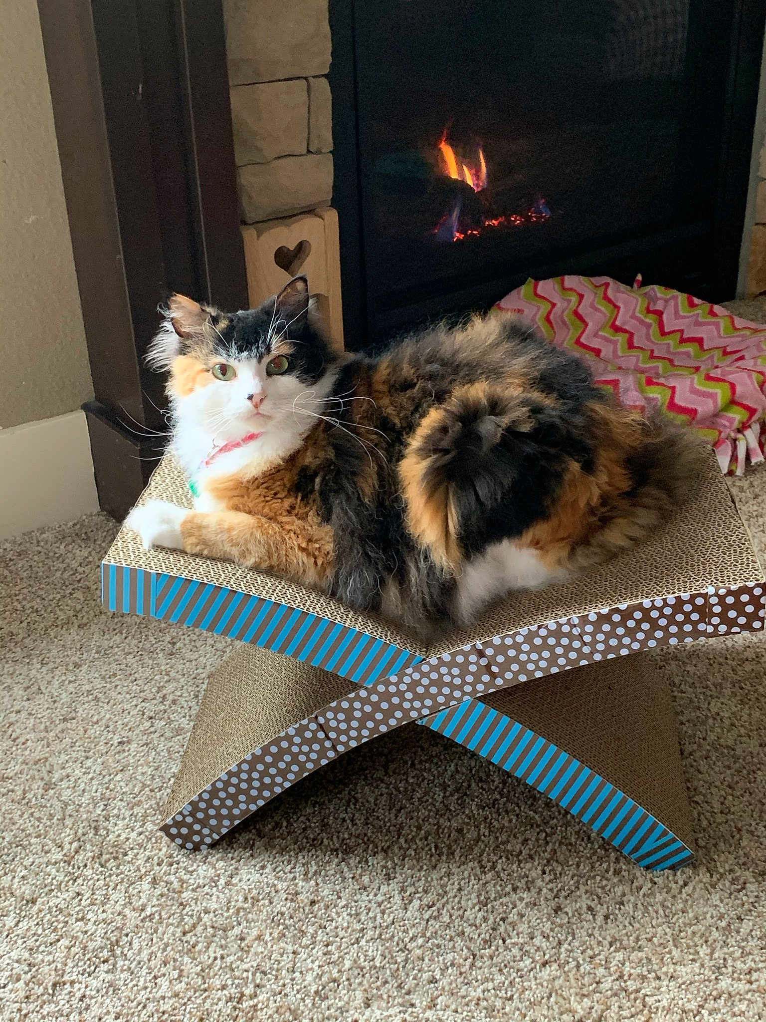 Bella