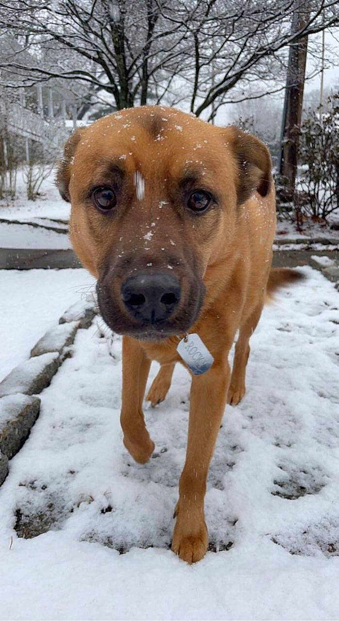 Rocky